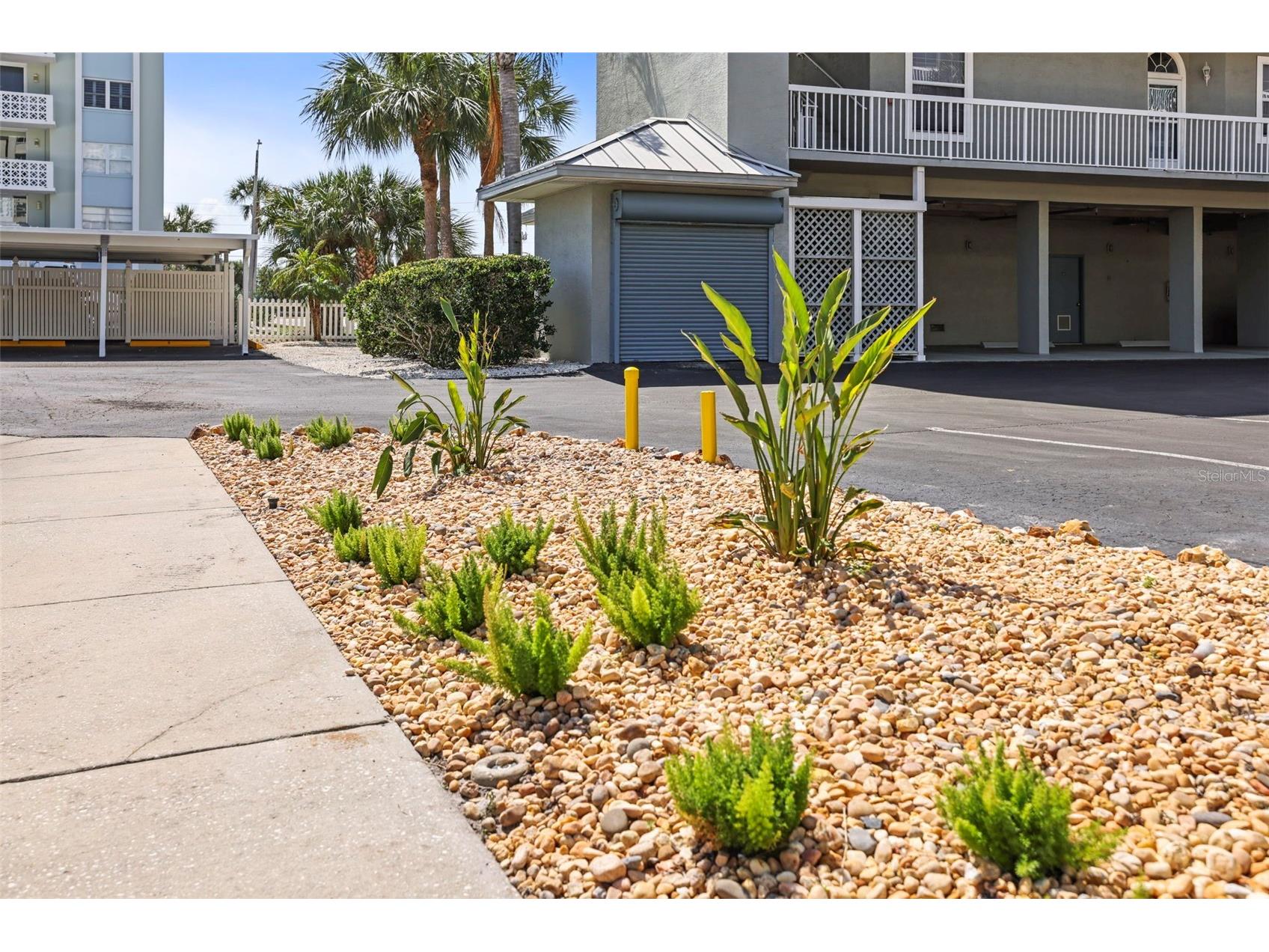 5 Island Park Place #206 Dunedin FL 34698 - INTRACOASTAL WATERWAY TB8486287 image47