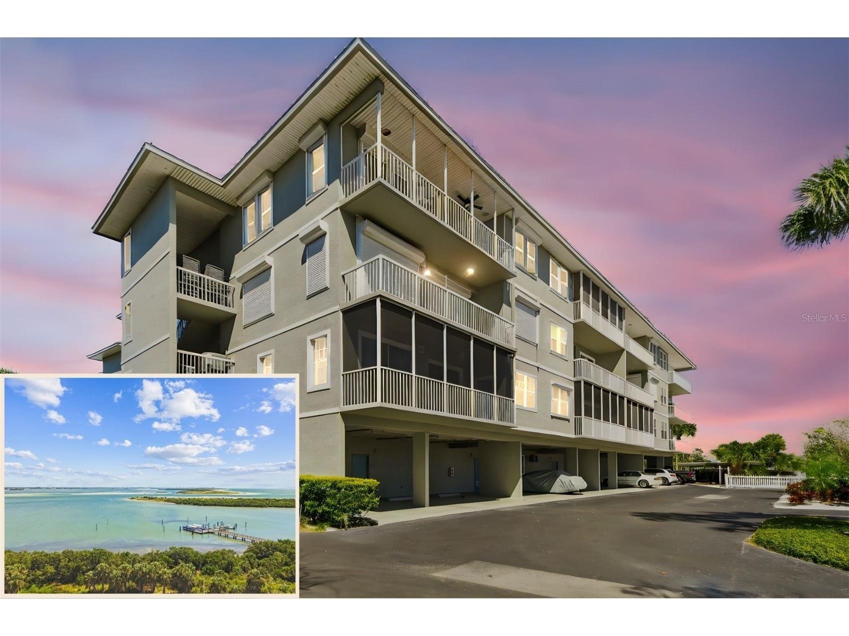 5 Island Park Place #305 Dunedin FL 34698 TB8432877 image1