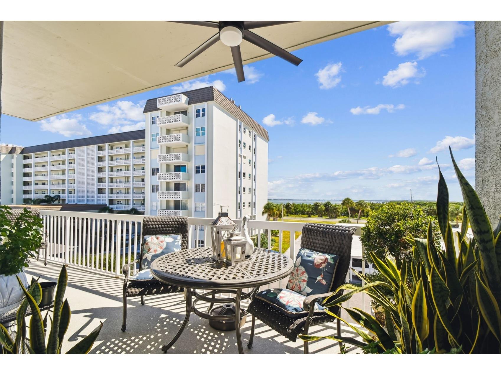 5 Island Park Place #305 Dunedin FL 34698 TB8432877 image22