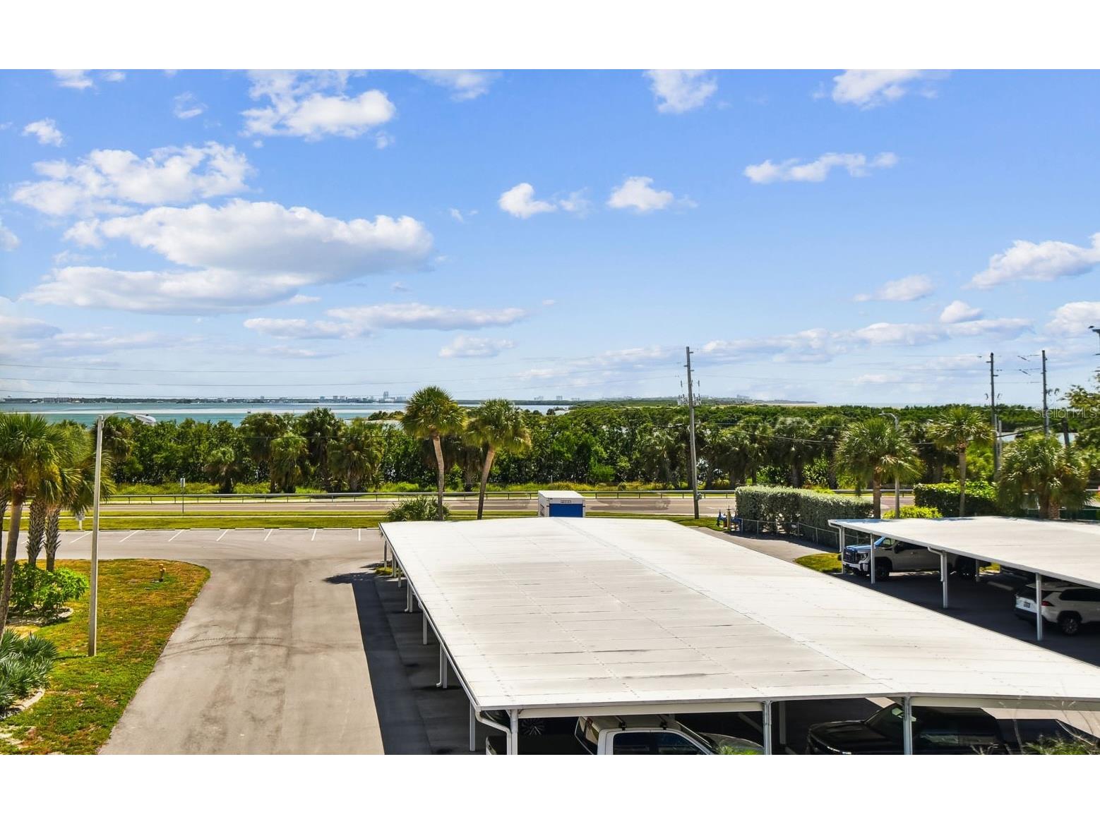 5 Island Park Place #305 Dunedin FL 34698 TB8432877 image23