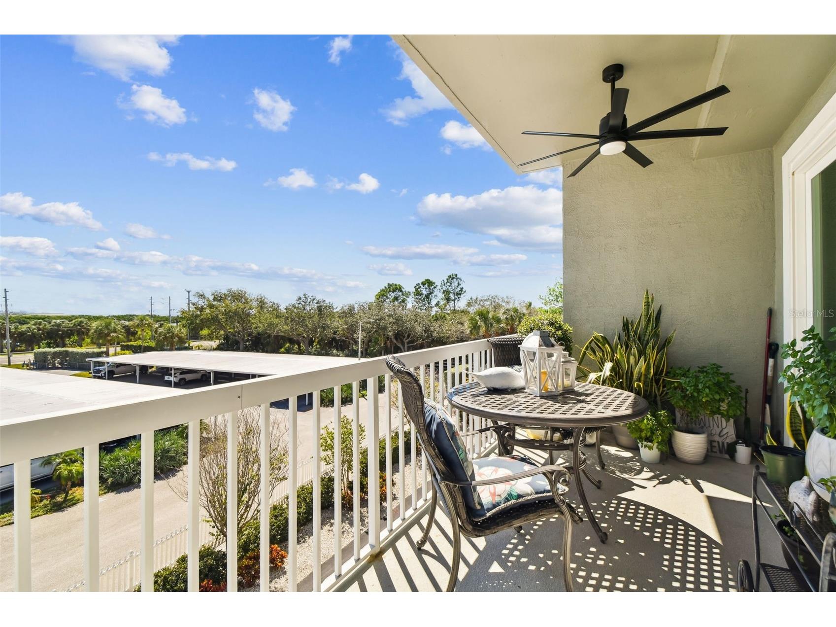 5 Island Park Place #305 Dunedin FL 34698 TB8432877 image24