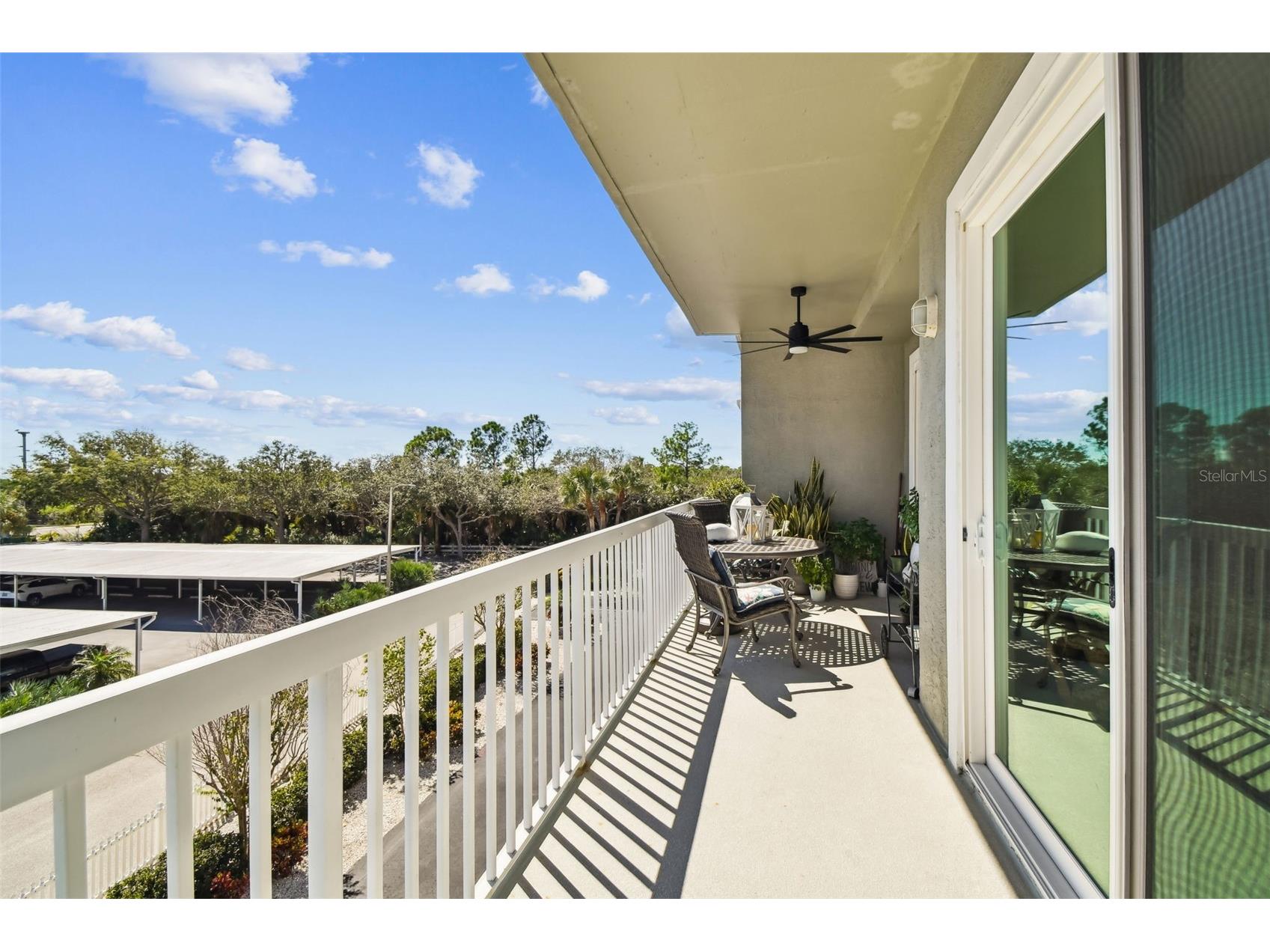 5 Island Park Place #305 Dunedin FL 34698 TB8432877 image28