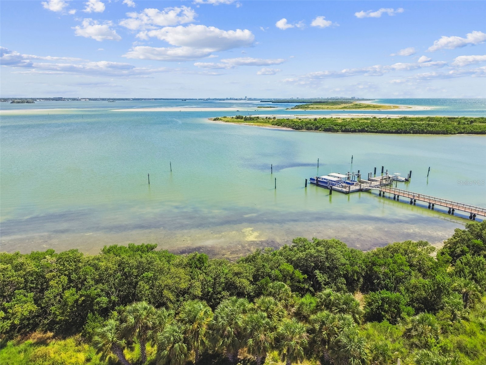 5 Island Park Place #305 Dunedin FL 34698 TB8432877 image29