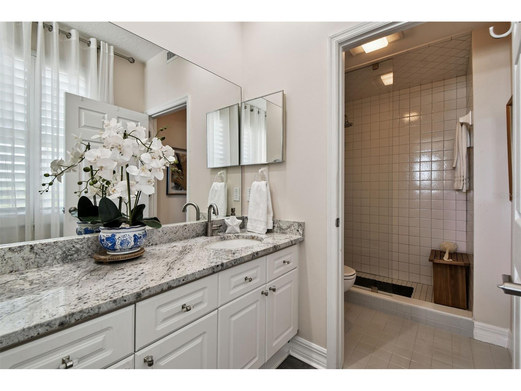 5 Island Park Place #305 Dunedin FL 34698 TB8432877 image32