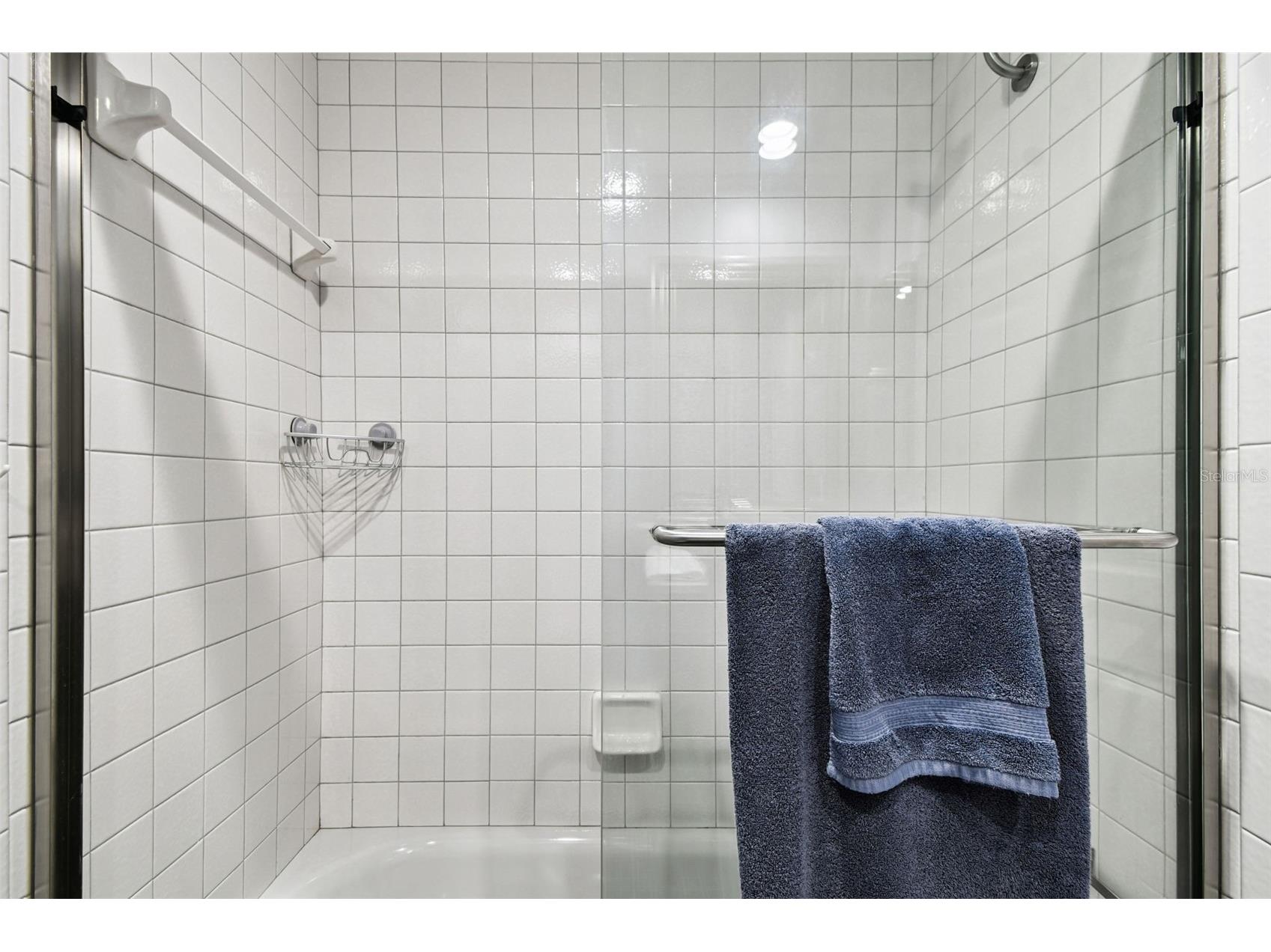 5 Island Park Place #305 Dunedin FL 34698 TB8432877 image38