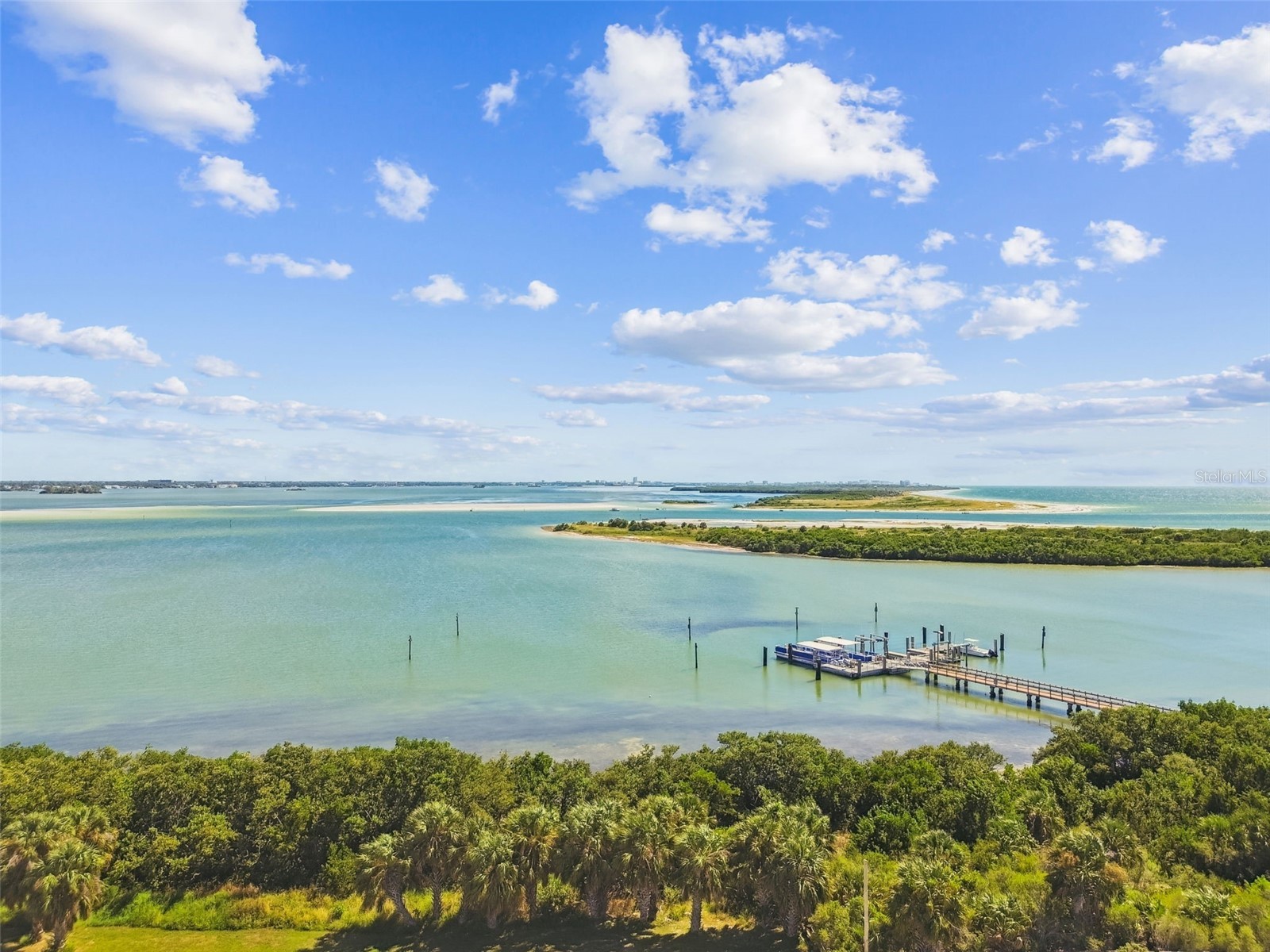 5 Island Park Place #305 Dunedin FL 34698 TB8432877 image4