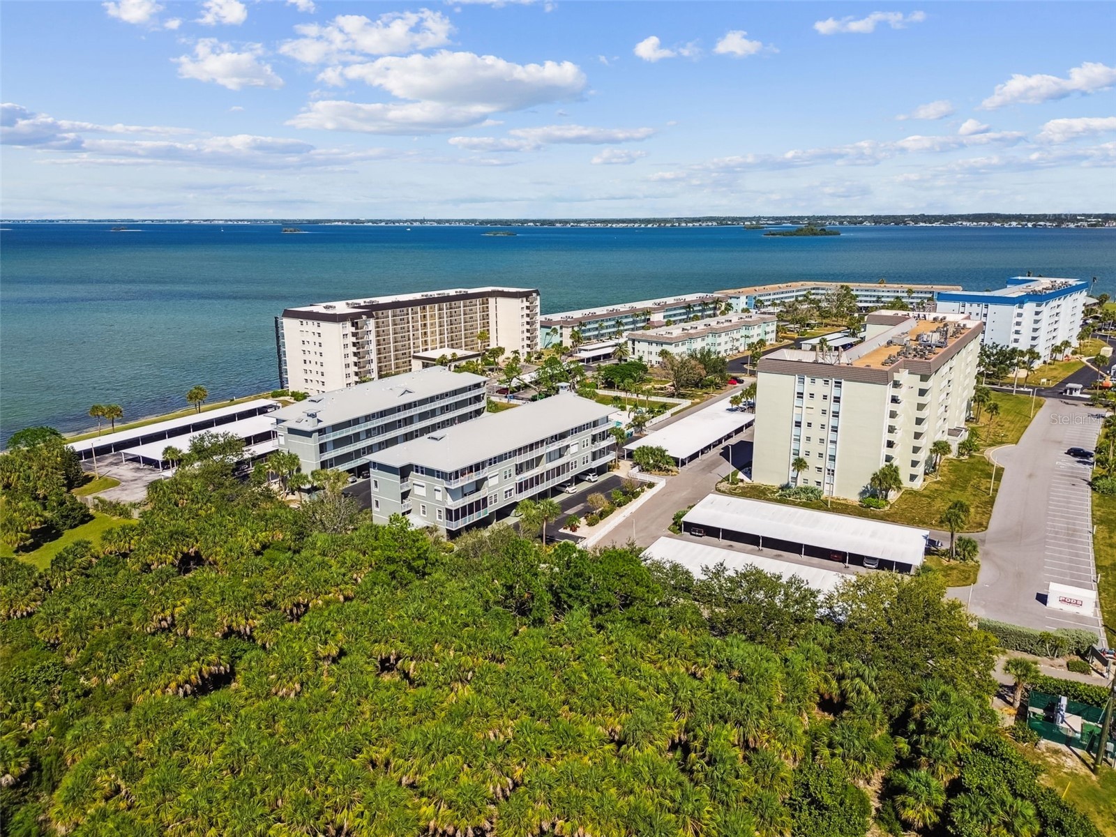 5 Island Park Place #305 Dunedin FL 34698 TB8432877 image57