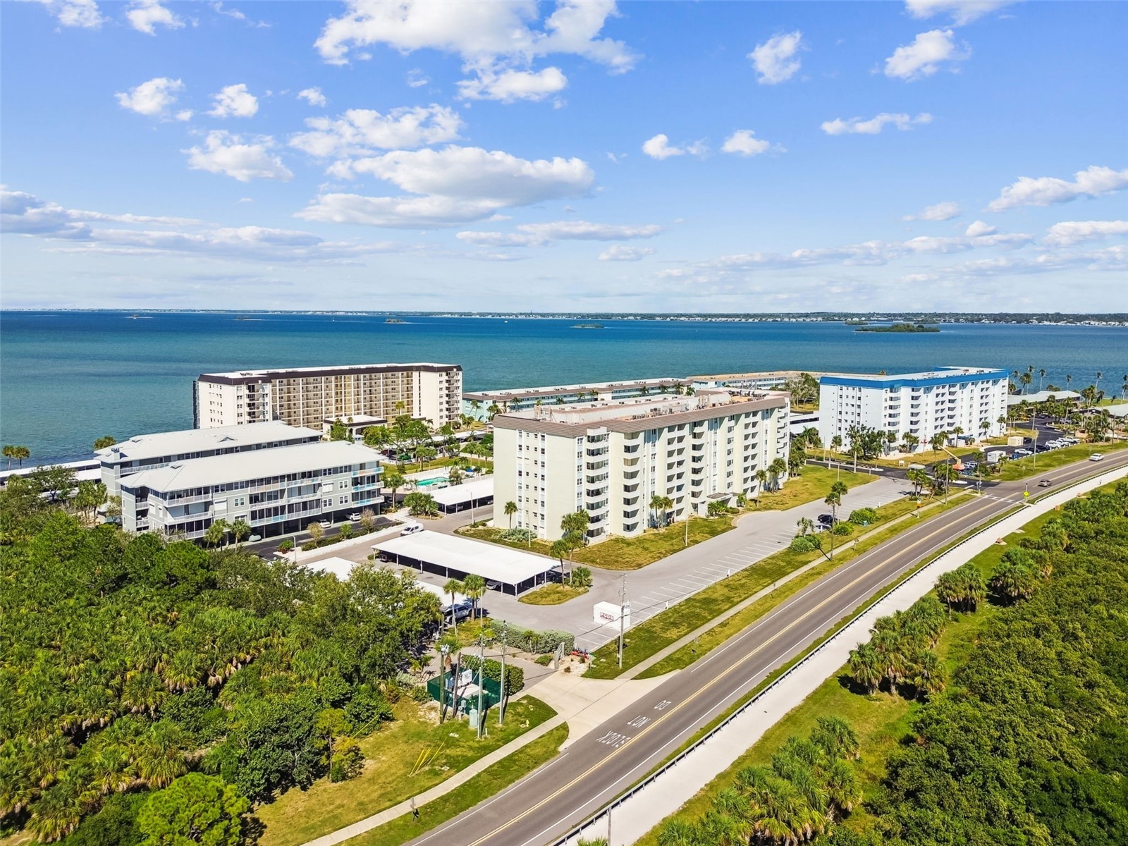 5 Island Park Place #305 Dunedin FL 34698 TB8432877 image58