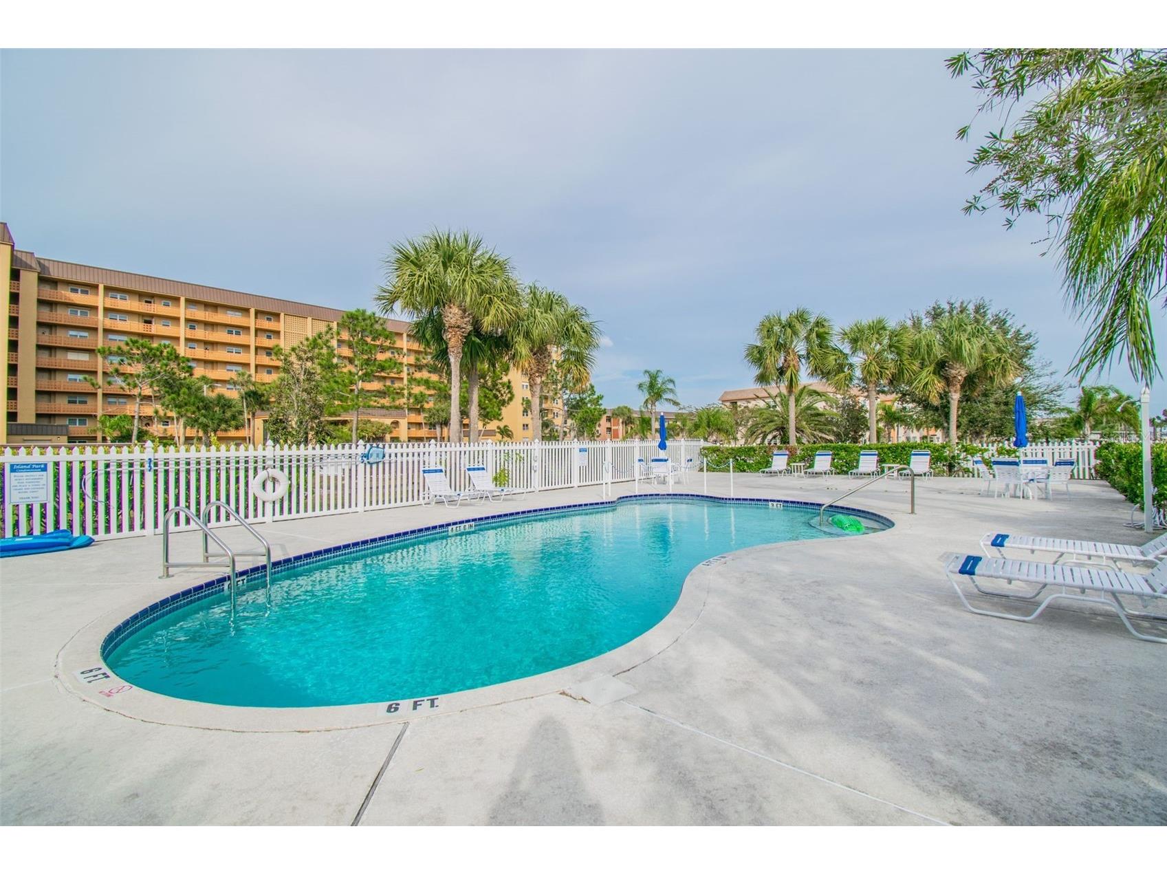 5 Island Park Place #305 Dunedin FL 34698 TB8432877 image6