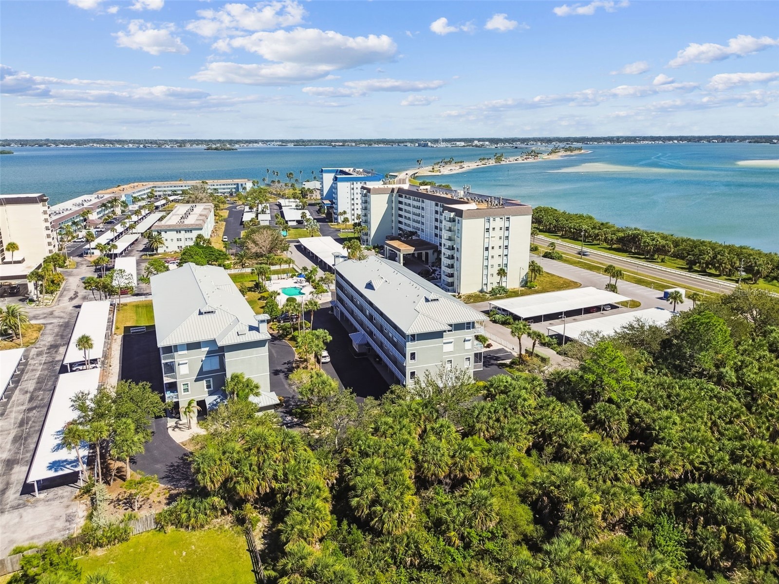 5 Island Park Place #305 Dunedin FL 34698 TB8432877 image60