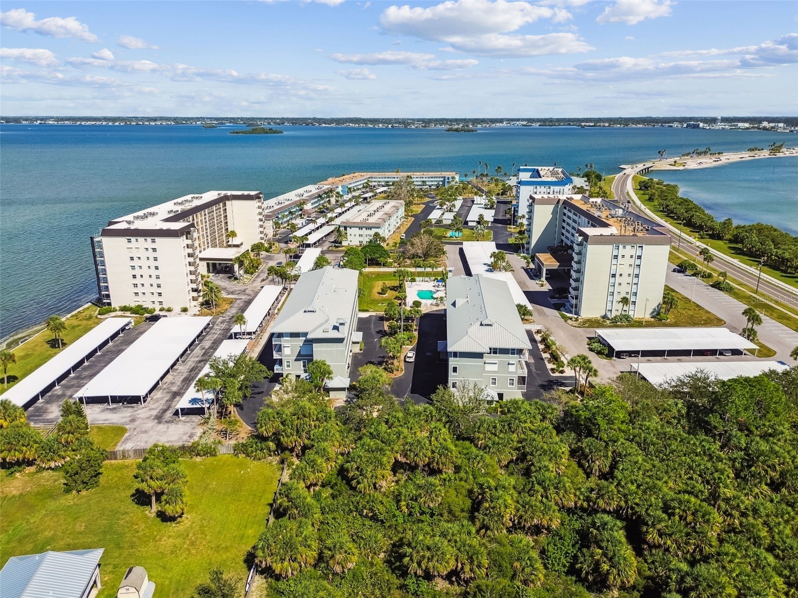 5 Island Park Place #305 Dunedin FL 34698 TB8432877 image8