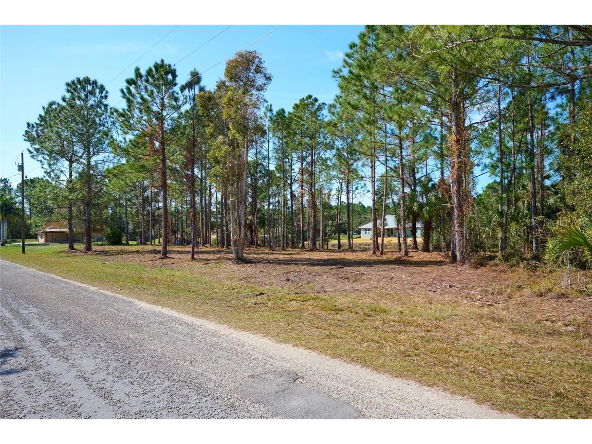 5 Lantana Drive S Indian Lake Estates FL 33855 - LAKE WALK IN WATER T3389197 image1
