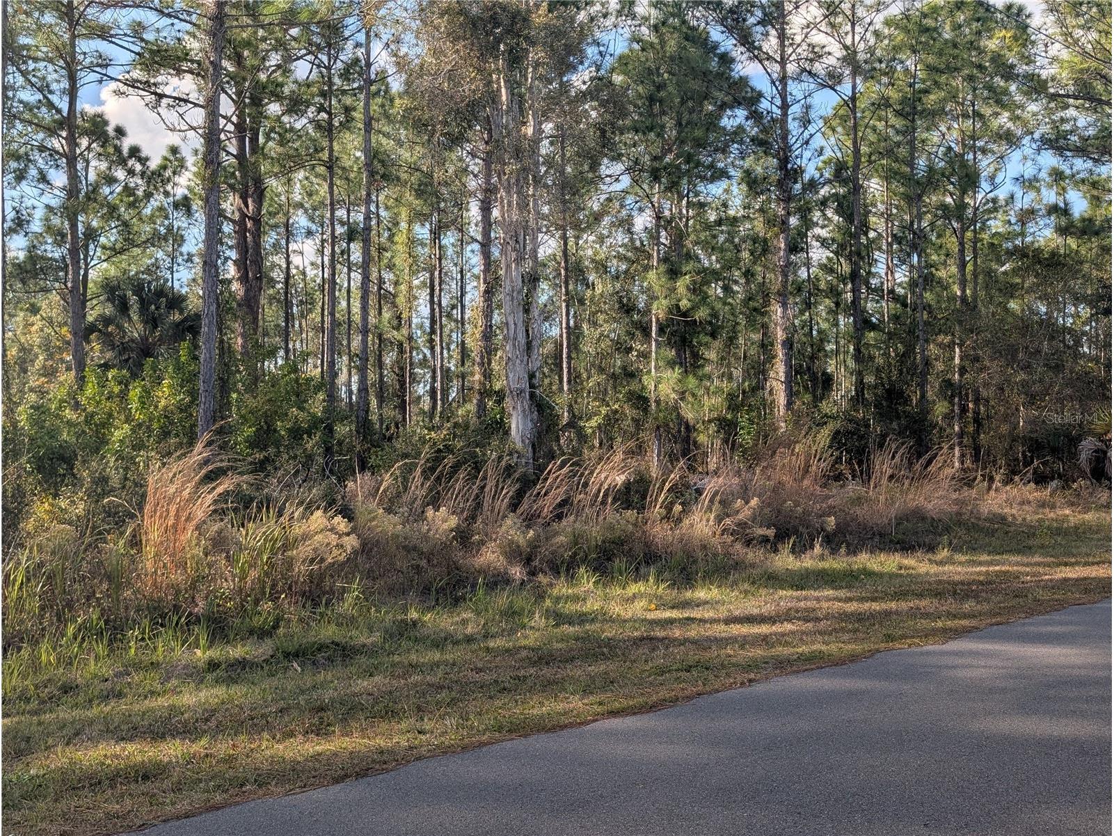 5 Lantana Drive S Indian Lake Estates FL 33855 - LAKE WALK-IN-WATER P4937634 image1