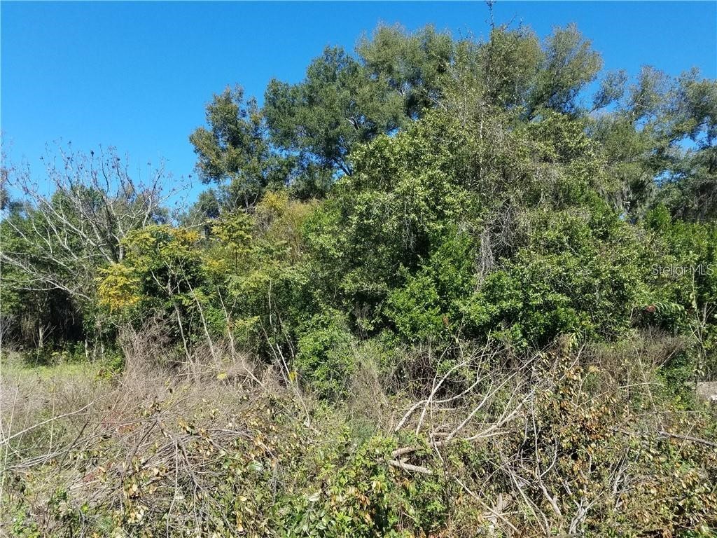 5 Lenox Court Deland FL 32720 O5920871 image1