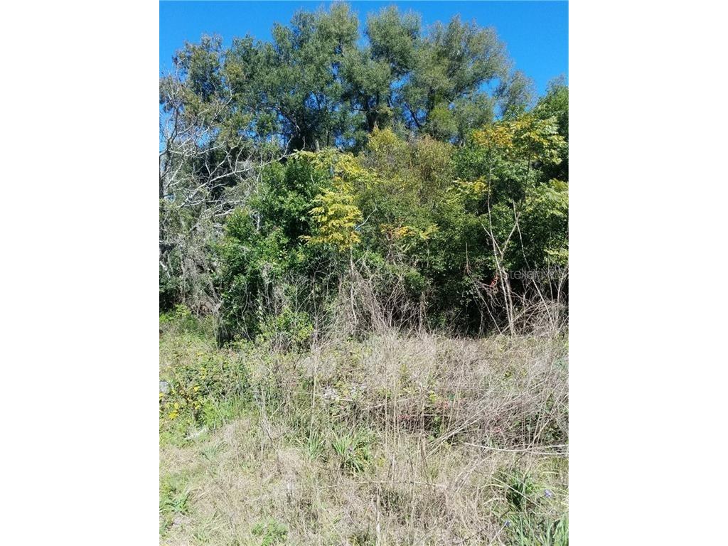 5 Lenox Court Deland FL 32720 O5920871 image3