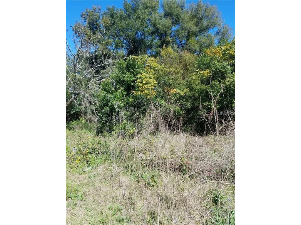 5 Lenox Court Deland FL 32720 O5920871 image4