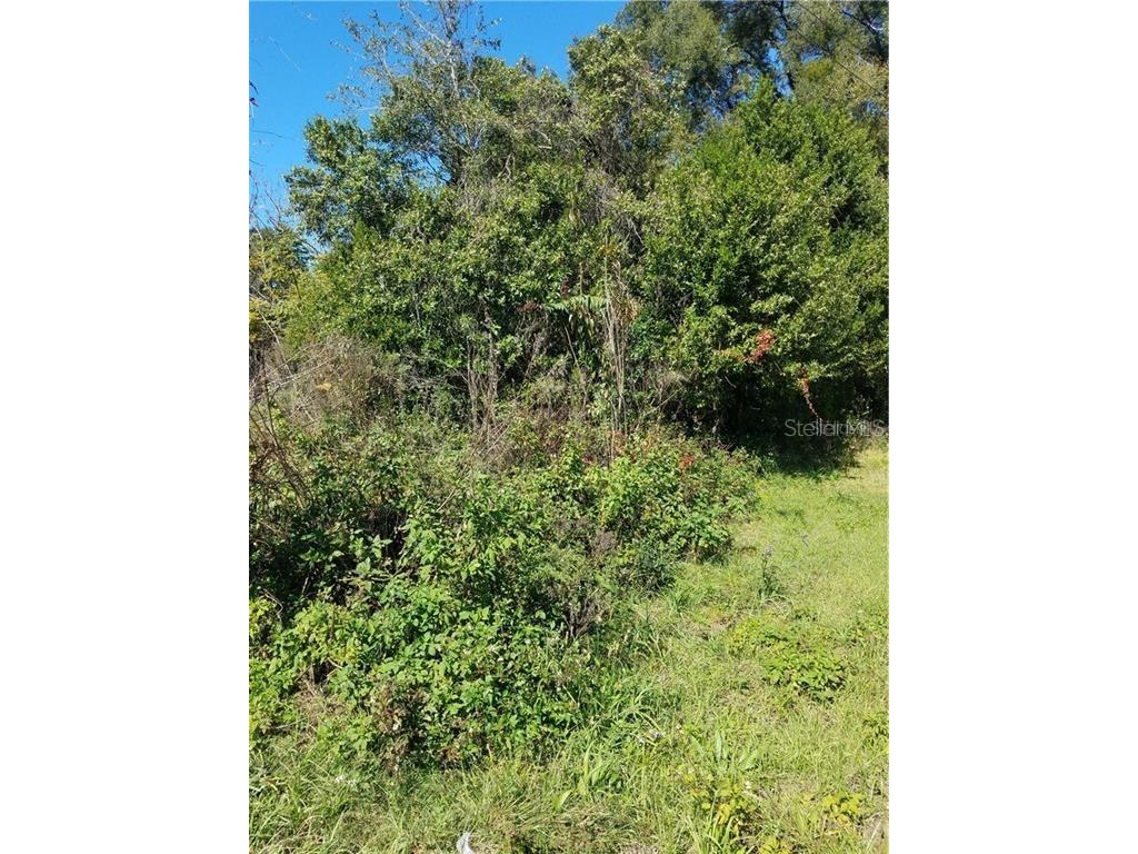 5 Lenox Court Deland FL 32720 O5920871 image5