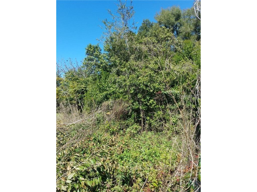 5 Lenox Court Deland FL 32720 O5920871 image6