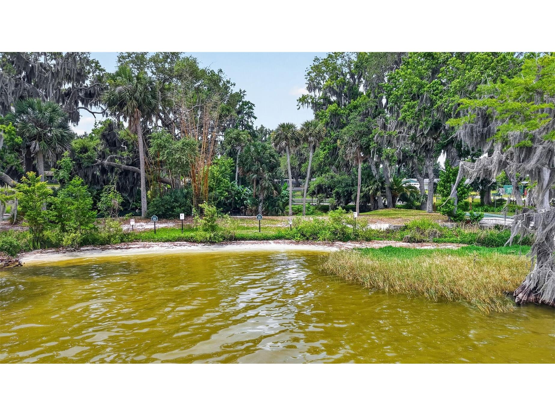 5 Lonesome Pine Trail Yalaha FL 34797 O6406858 image23