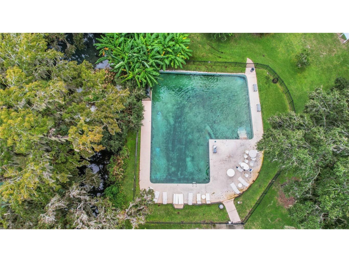 5 Magnolia Lane Yalaha FL 34797 - LAKE HARRIS - CHAIN OF LAKES G5101680 image45