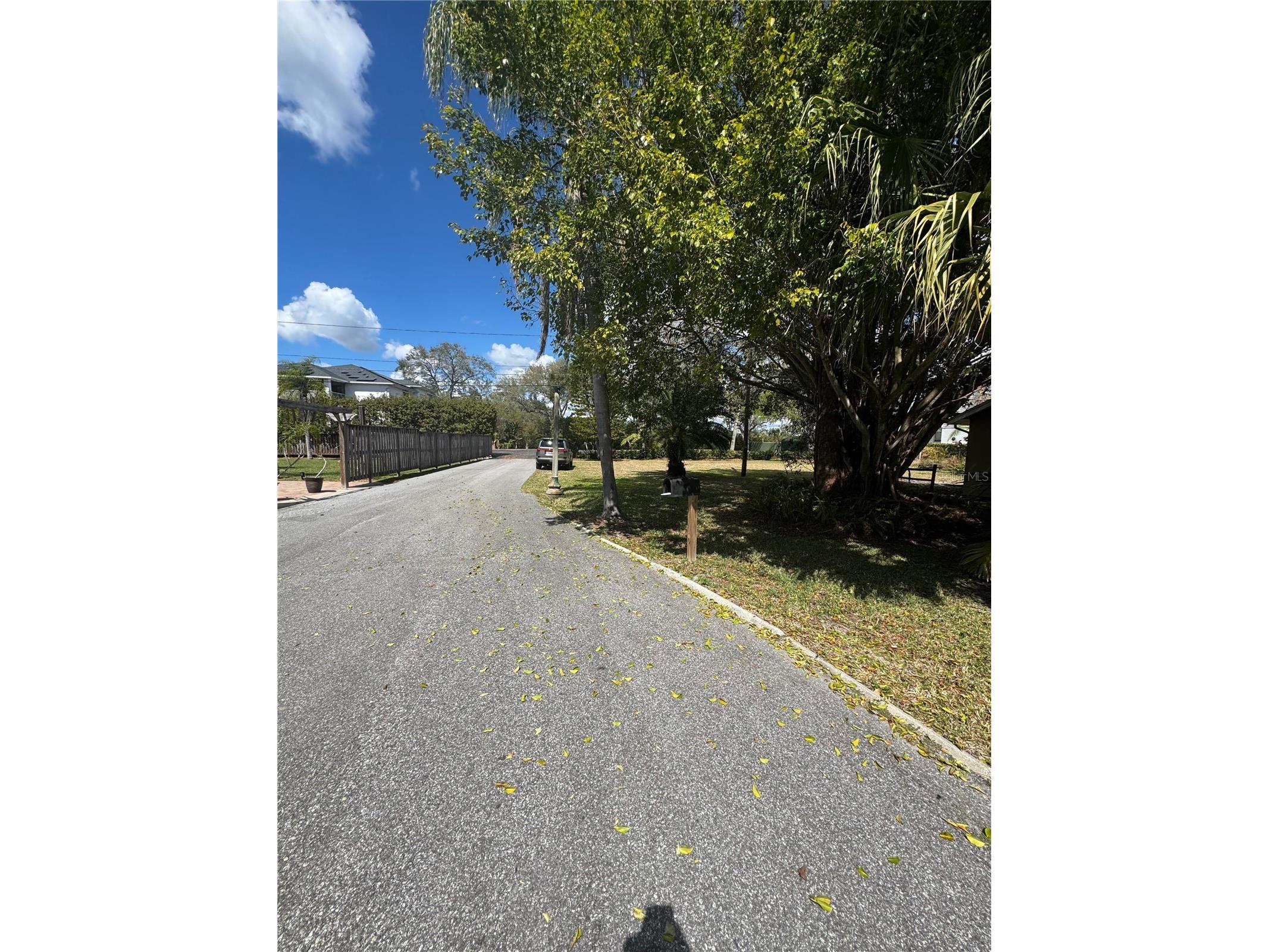 5 Mar Bay Lane Safety Harbor FL 34695 TB8482137 image3