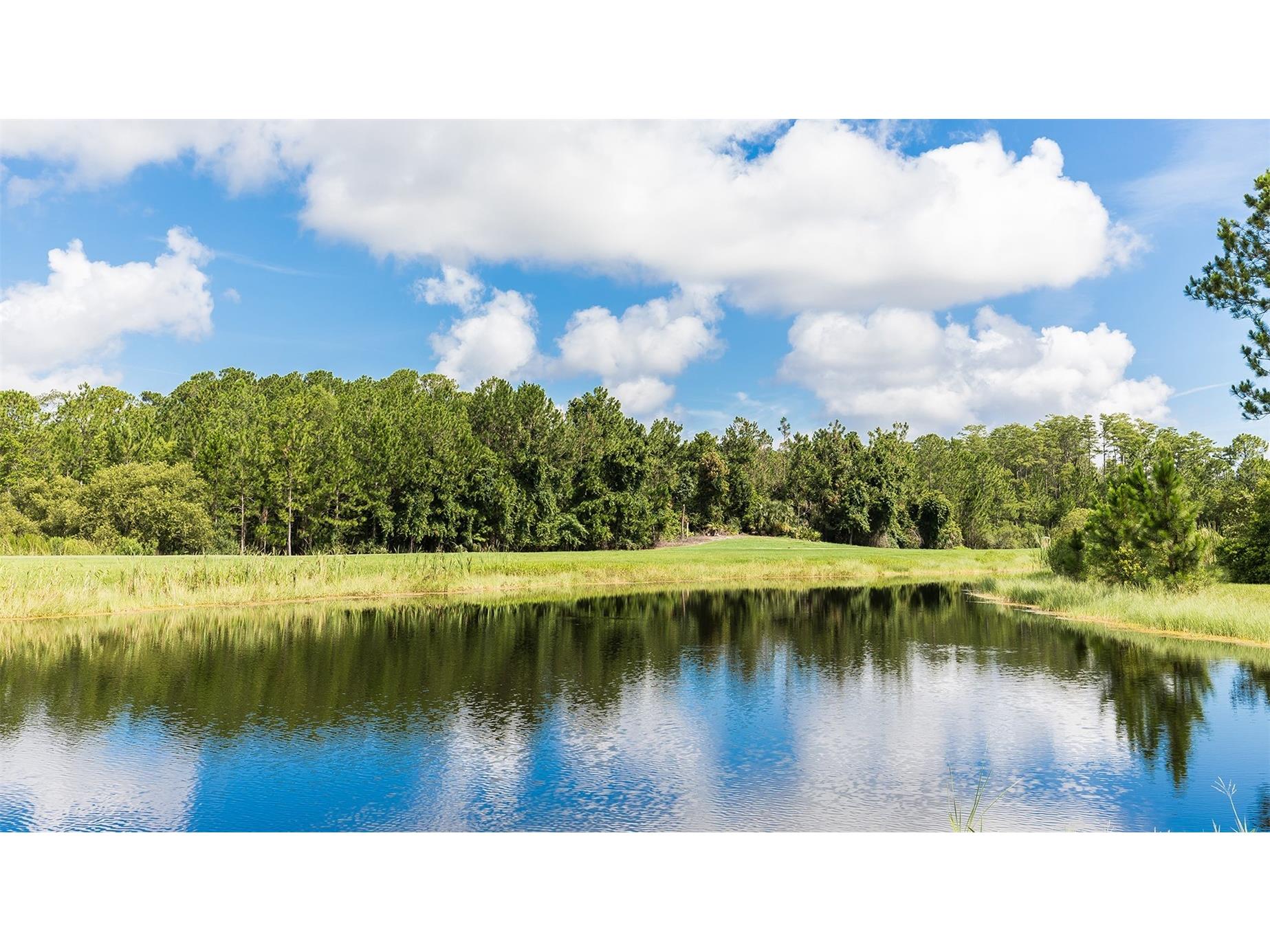 5 Mulligan Way Bunnell FL 32110 FC316983 image42