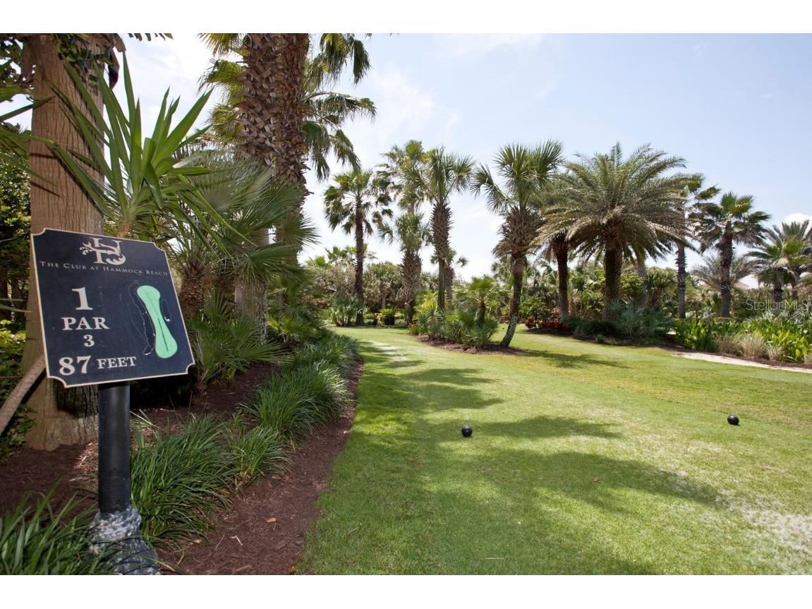 5 Ocean Crest Way #1414 Palm Coast FL 32137 FC307688 image43