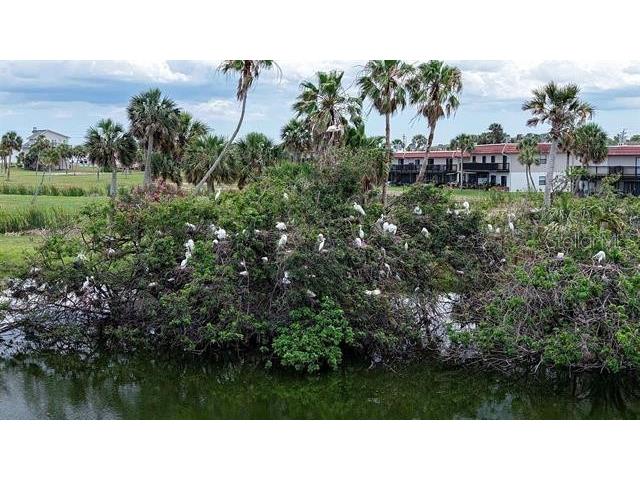 5 Ocean Palm Villa N #5 Flagler Beach FL 32136 FC309728 image29