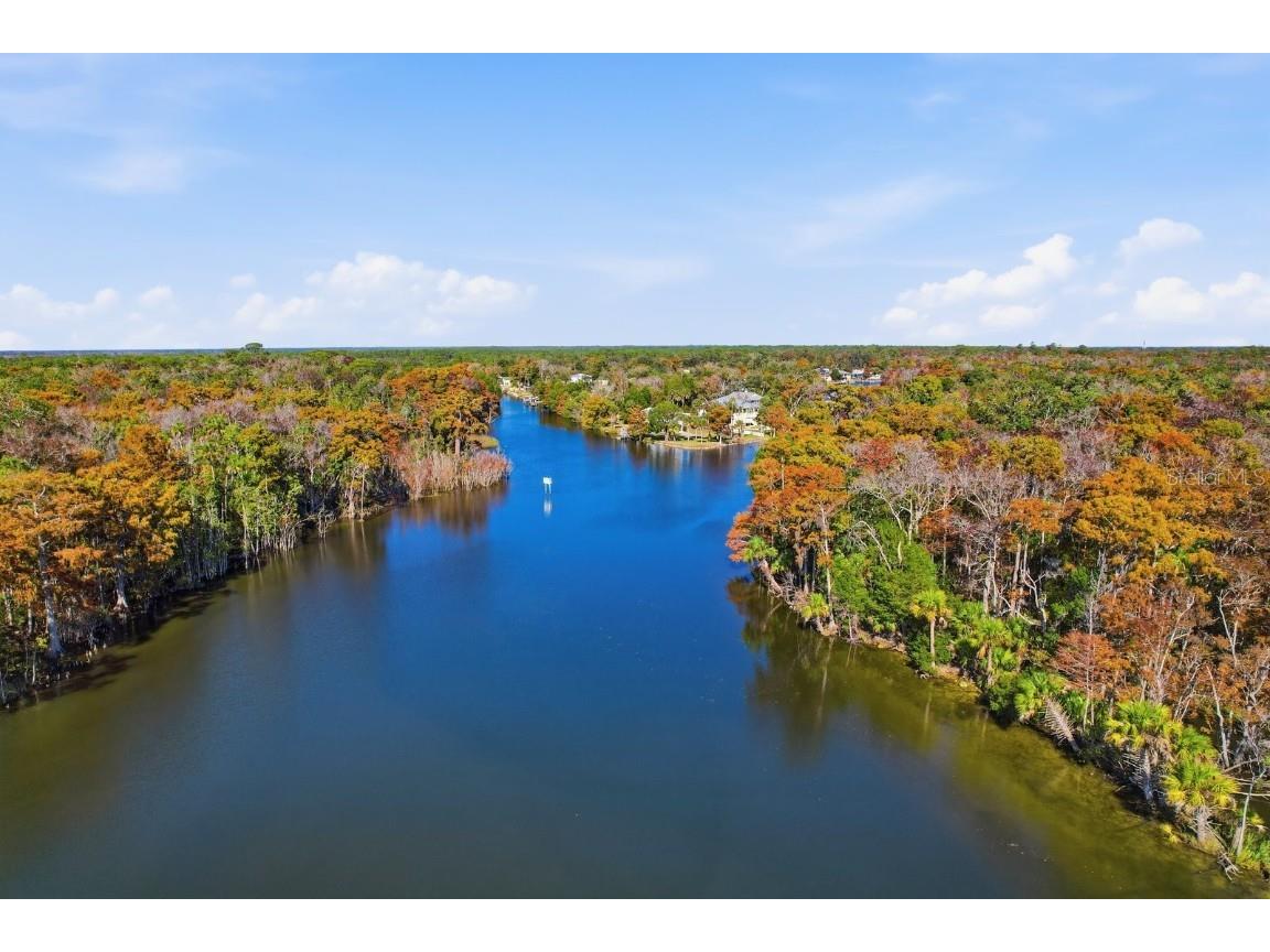 5 Palm Drive Yankeetown FL 34498 TB8449771 image49