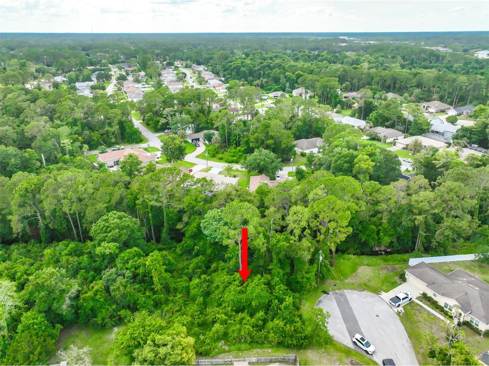 5 Pauline Place Palm Coast FL 32164 FC319330 image4