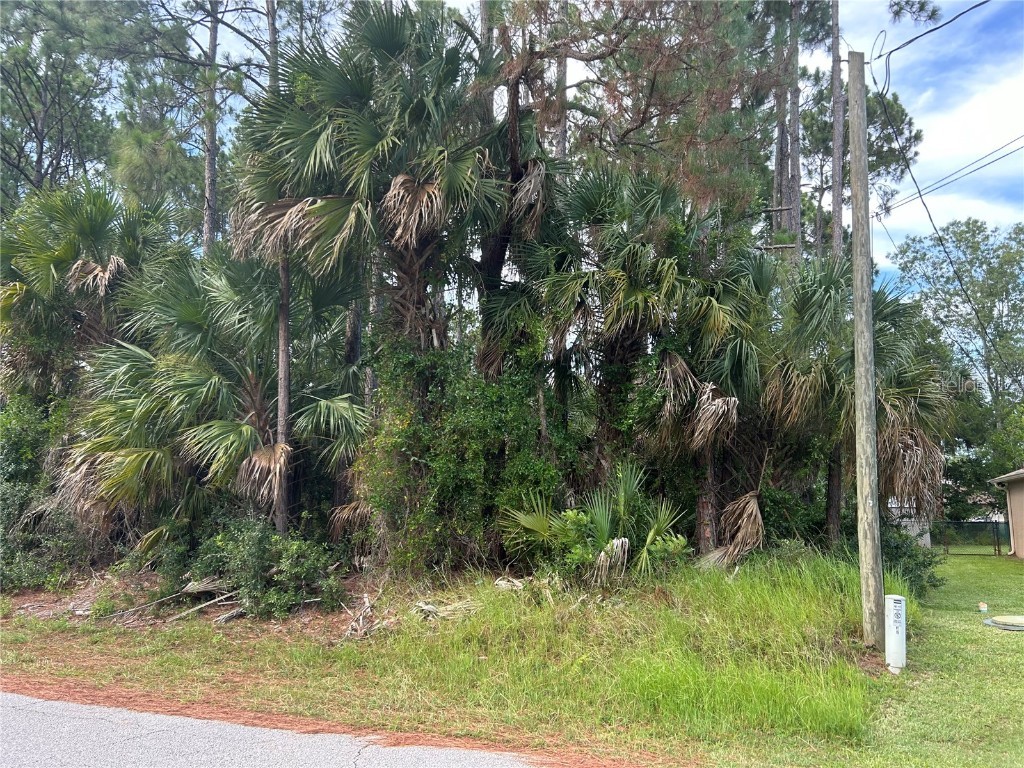 5 Pine Cedar Drive Palm Coast FL 32164 FC301837 image1