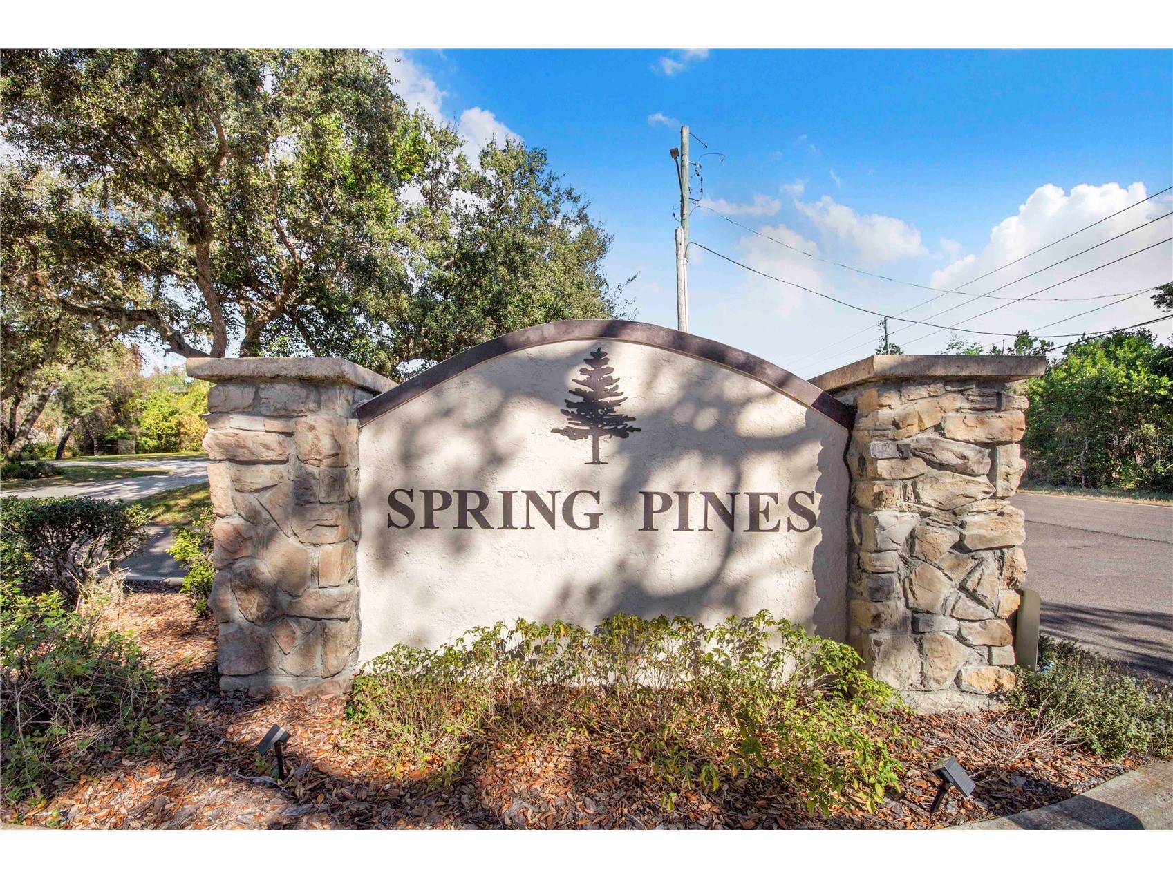 5 Pine Forest Lane Haines City FL 33844 P4937659 image59