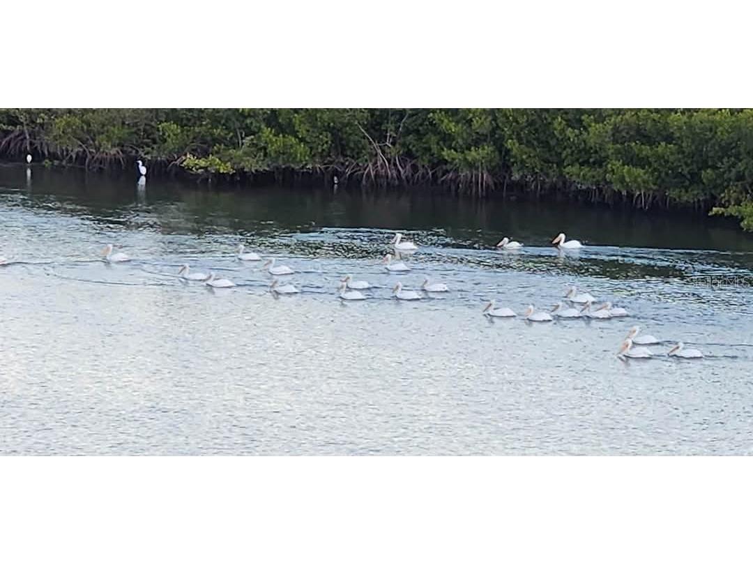 5 Riverwalk Drive #503 New Smyrna Beach FL 32169 O6269369 image51