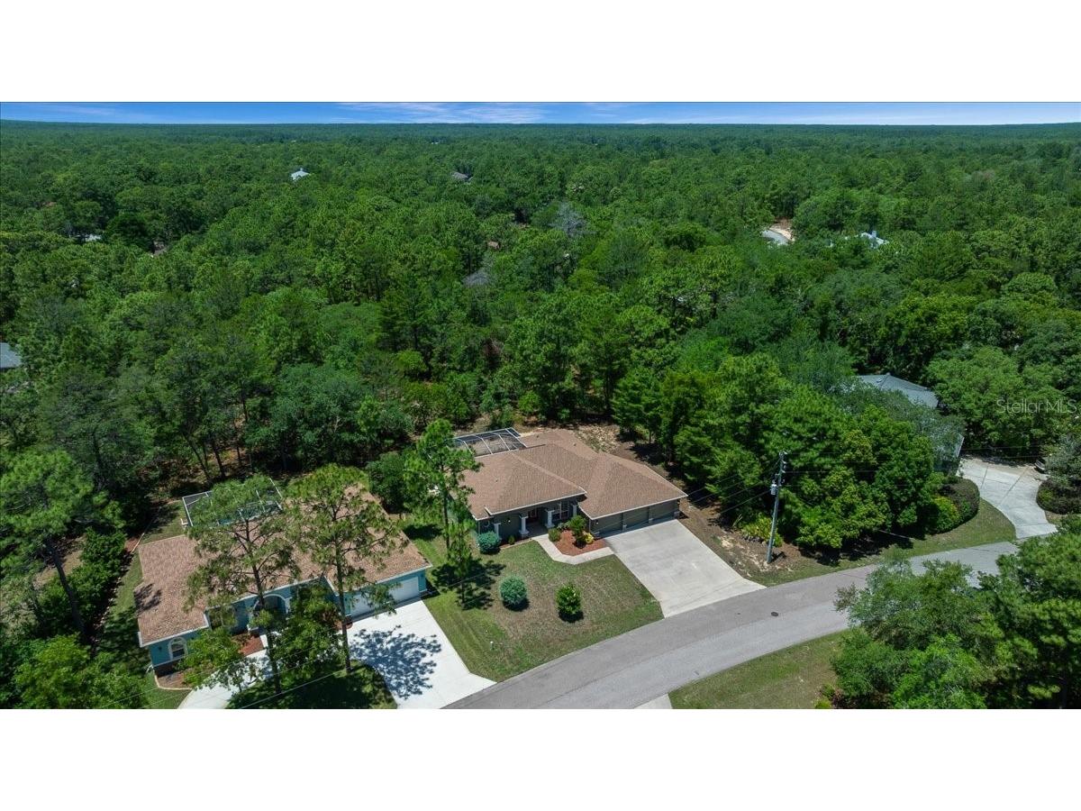 5 Saintpaulia Street Homosassa FL 34446 OM724634 image35