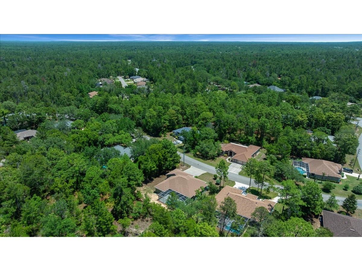 5 Saintpaulia Street Homosassa FL 34446 OM724634 image36
