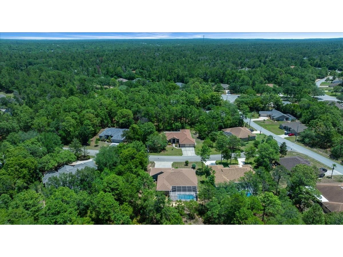 5 Saintpaulia Street Homosassa FL 34446 OM724634 image37