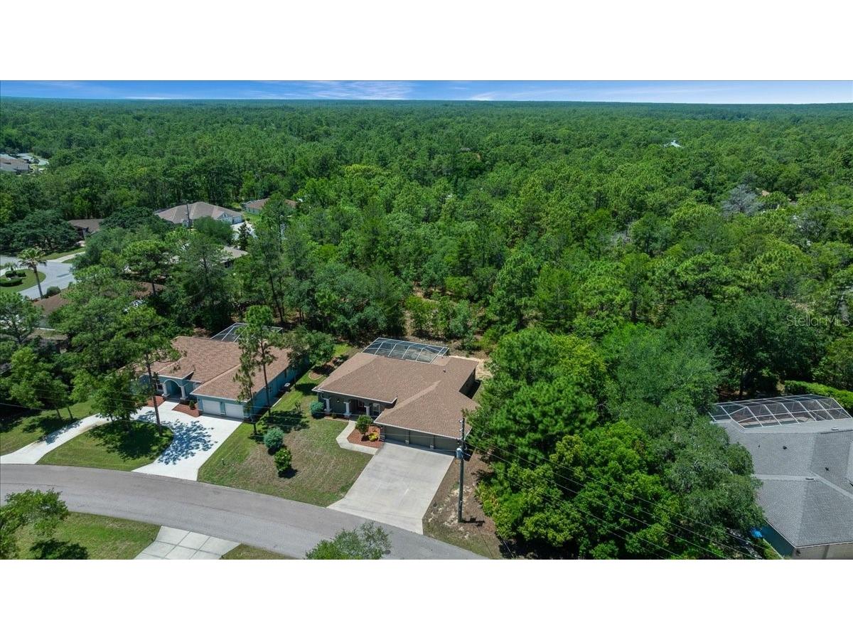 5 Saintpaulia Street Homosassa FL 34446 OM724634 image38