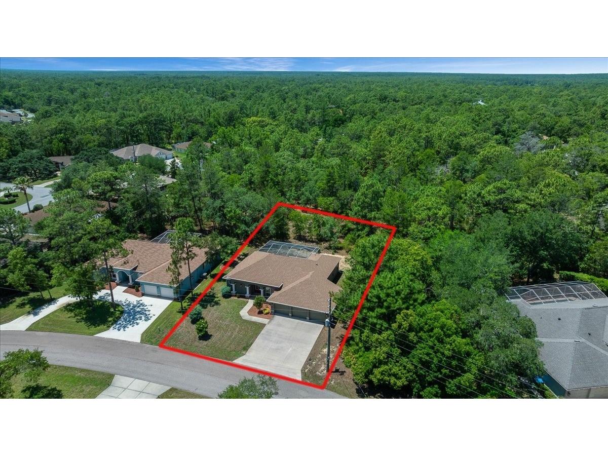 5 Saintpaulia Street Homosassa FL 34446 OM724634 image39