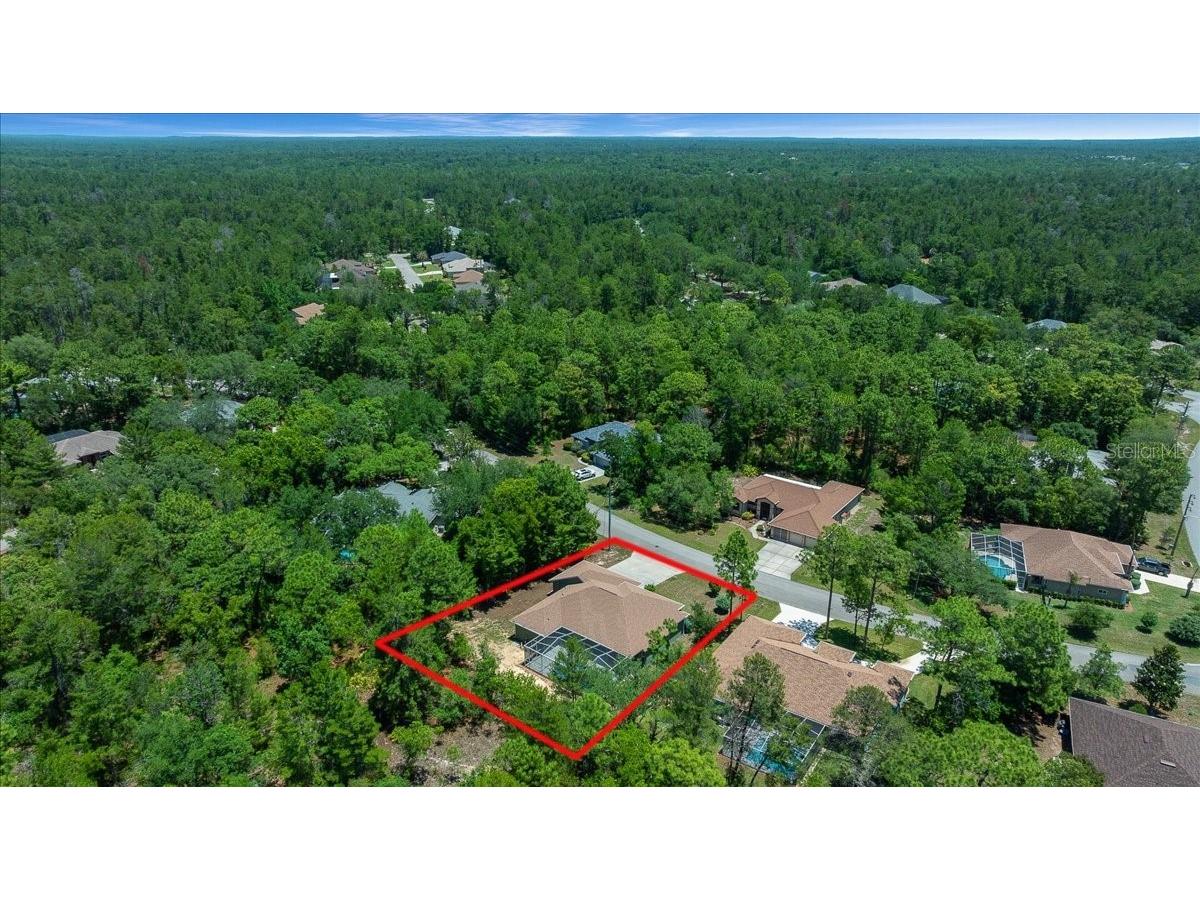 5 Saintpaulia Street Homosassa FL 34446 OM724634 image40
