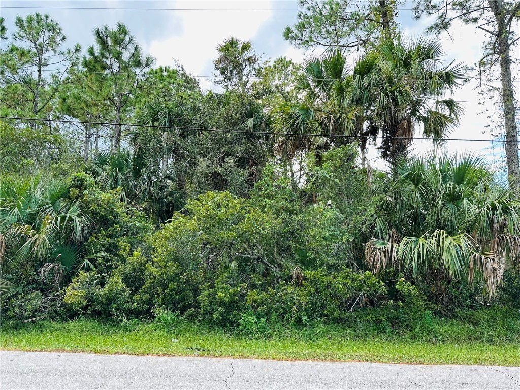5 Seattle Trail Palm Coast FL 32164 FC312941 image1