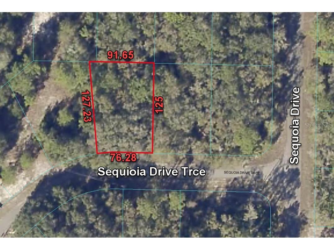 5 Sequoia Drive Trace Ocklawaha FL 32179 O6144652 image1