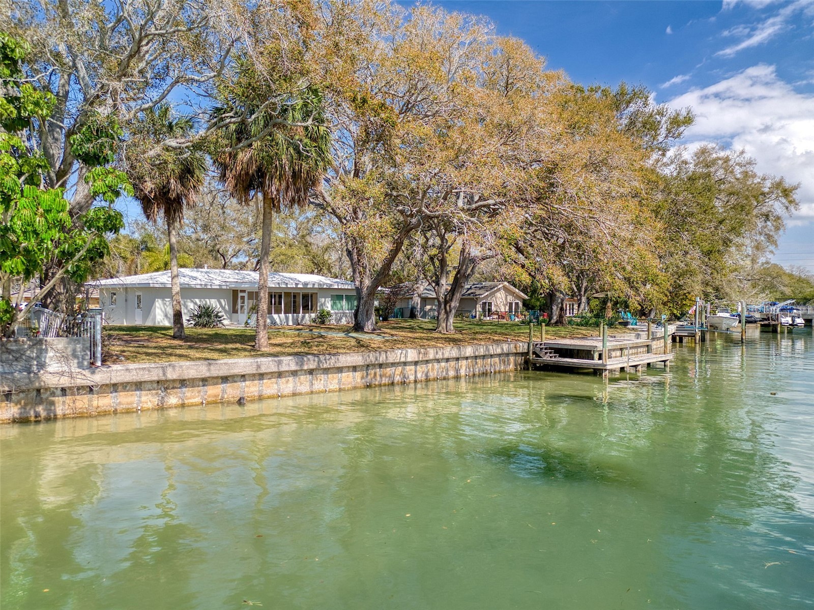 5 Shore Drive Dunedin FL 34698 - ST JOSEPH SOUND TB8482940 image24