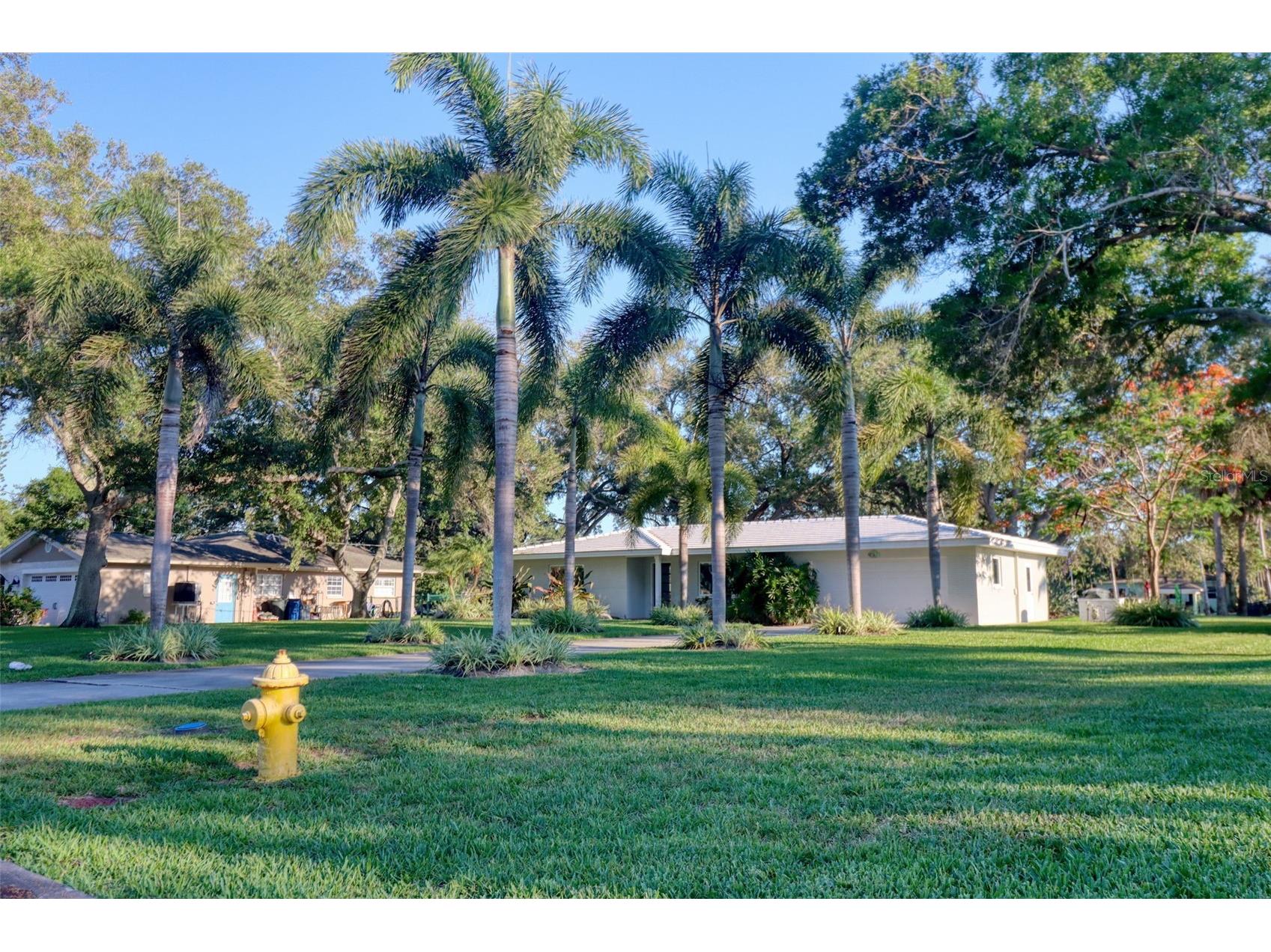 5 Shore Drive Dunedin FL 34698 - ST JOSEPH SOUND TB8482940 image6