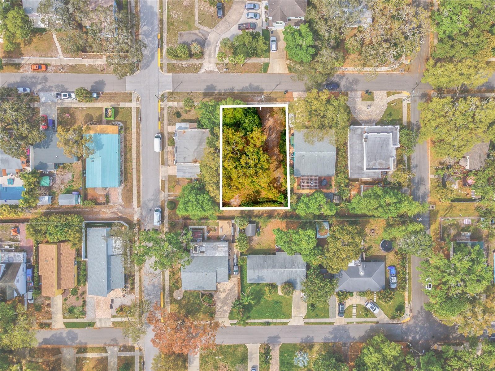 5 St S Safety Harbor FL 34695 TB8475804 image2