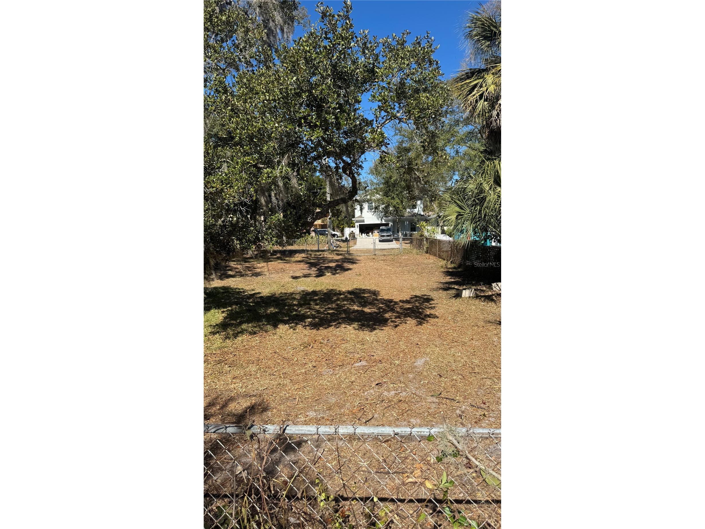 5 St S Safety Harbor FL 34695 TB8475804 image5