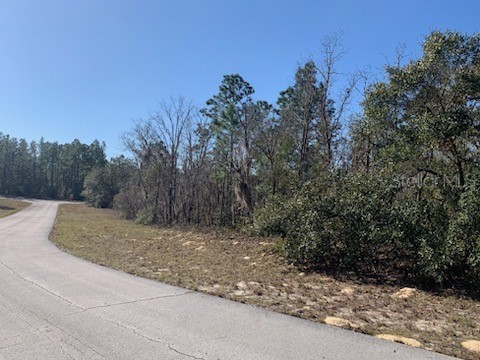 5 SW 139 Pl Road Ocala FL 34473 OM652517 image1