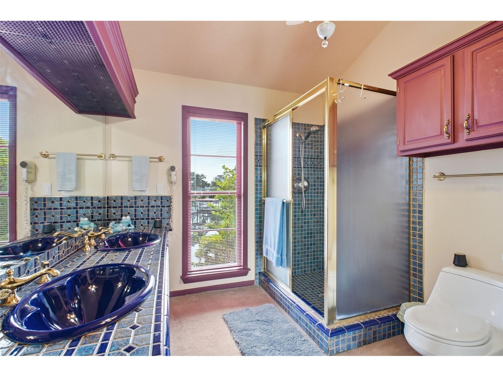 5 Venetian Court Tarpon Springs FL 34689 - MINETTA BAYOU TB8525838 image32