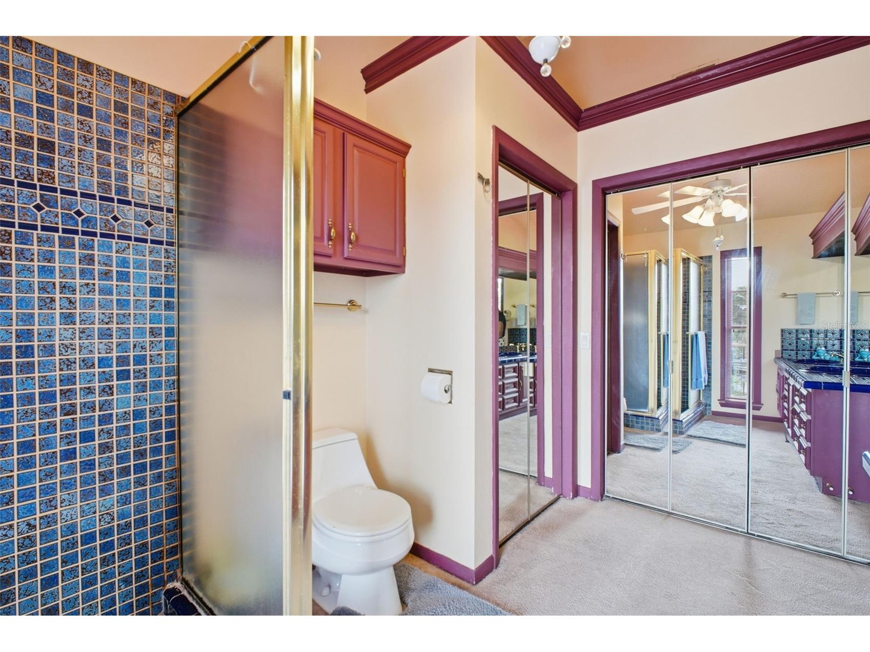 5 Venetian Court Tarpon Springs FL 34689 - MINETTA BAYOU TB8525838 image33
