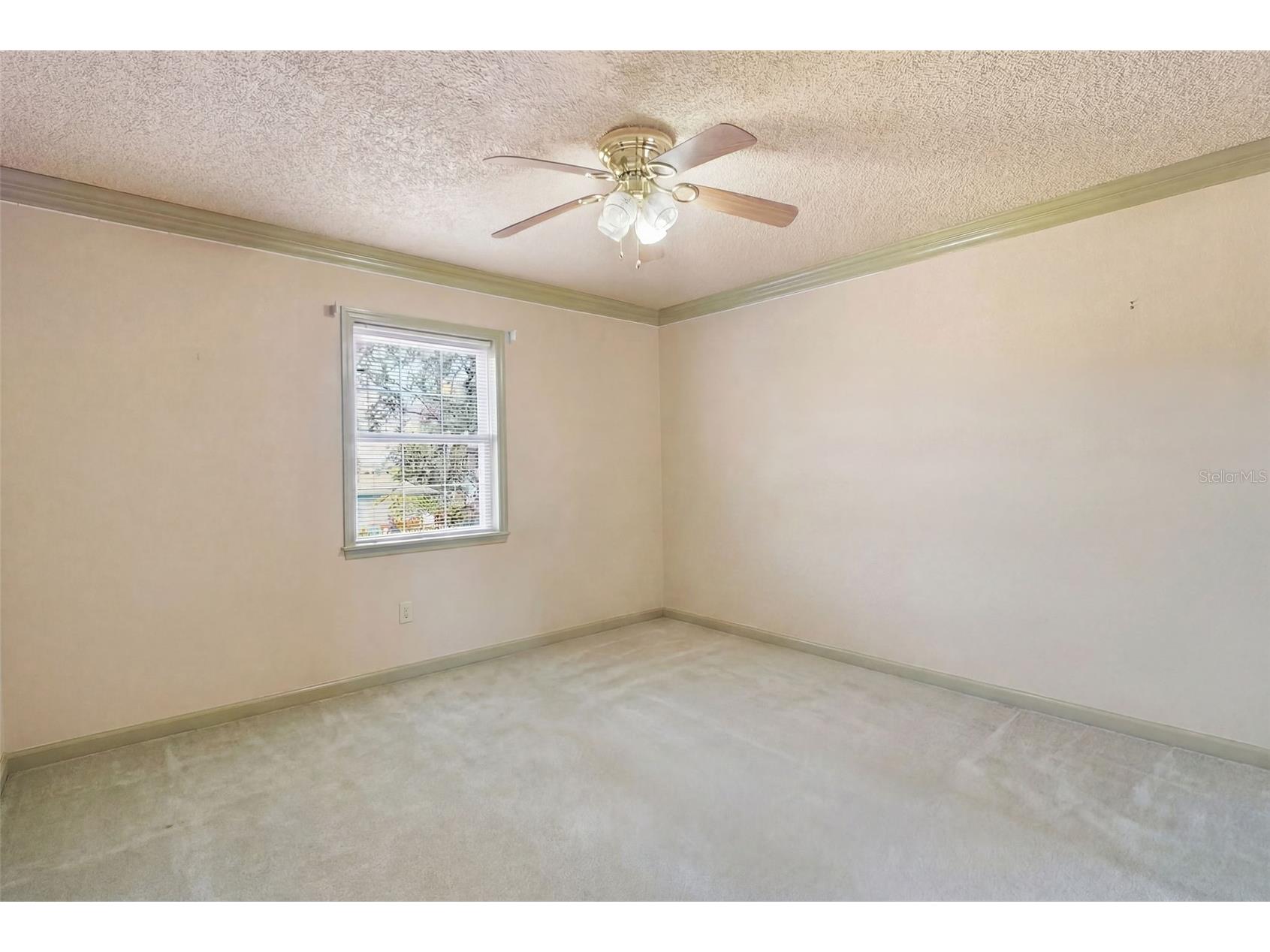 5 Venetian Court Tarpon Springs FL 34689 - MINETTA BAYOU TB8525838 image34