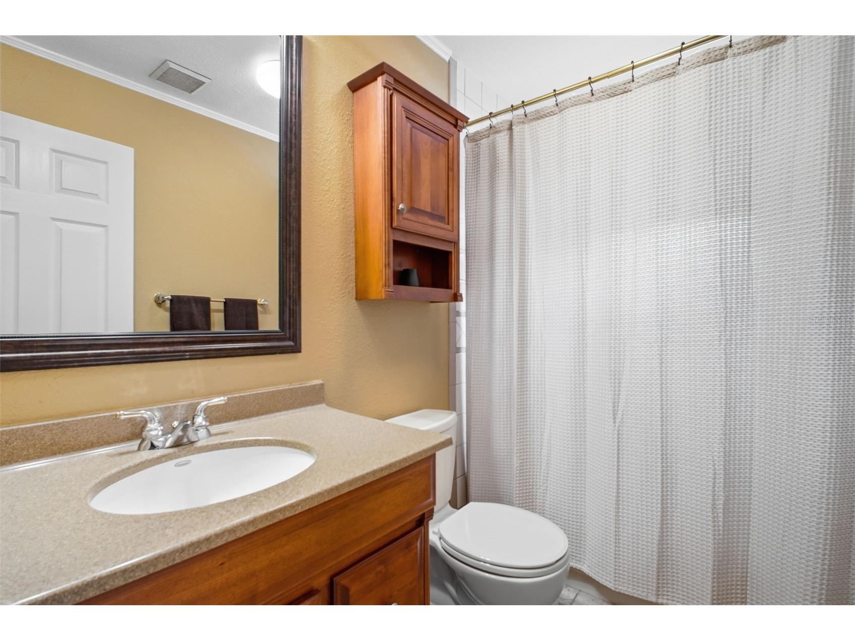 5 Venetian Court Tarpon Springs FL 34689 - MINETTA BAYOU TB8525838 image38